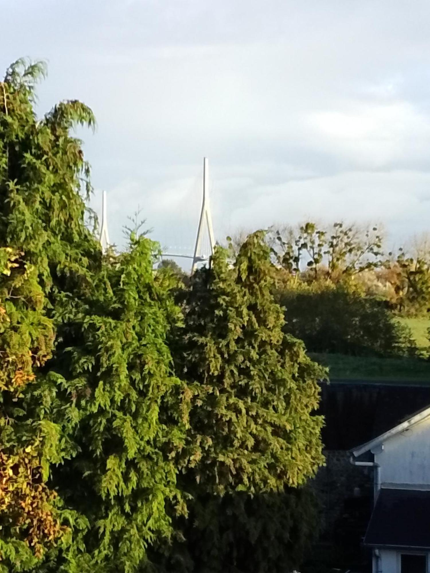 Séjour chez l'habitant La Tourterelle *